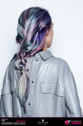 Kadeřník roku 2015: Kolorista roku (Jan Hlaváček – Hairthusiasts)