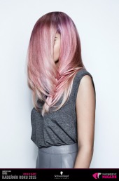 Kadeřník roku 2015: Kolorista roku (Jan Hlaváček – Hairthusiasts)