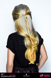 Kadeřník roku 2015: Kolorista roku (Jan Hlaváček – Hairthusiasts)