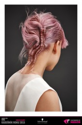 Kadeřník roku 2015: Kolorista roku (Diana Kratochvílová – RED Salon)