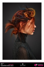 Kadeřník roku 2015: Kolorista roku (Diana Kratochvílová – RED Salon)