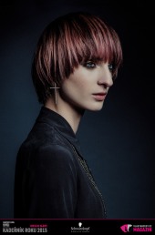 Kadeřník roku 2015: Dámský komerční účes Praha (Anna Plačková – Toni&Guy)