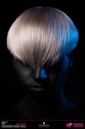 Kadeřník roku 2015: Dámský komerční účes Čechy (Gabriela Kejmarová – Salon Gabriela)