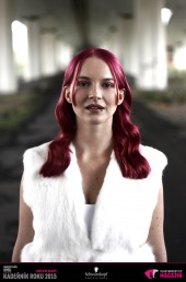 Kadeřník roku 2015: Dámský komerční účes Čechy (Adéla Kodetová – Dual Studio)