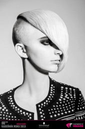 Kadeřník roku 2015: Dámský komerční účes Čechy (Martin Kováč – Hair Art Design)