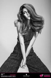 Kadeřník roku 2015: Dámský komerční účes Čechy (Martin Kováč – Hair Art Design)