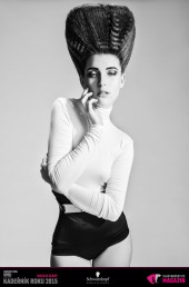 Kadeřník roku 2015: Dámský komerční účes Čechy (Martin Kováč – Hair Art Design)