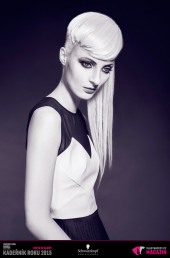 Kadeřník roku 2015: Dámský komerční účes Čechy (Romana Topinková – Salon RT)