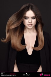 Kadeřník roku 2015: Dámský komerční účes Čechy (Lea Trabáková – Salon Michal Zapoměl)