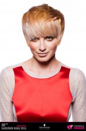 Kadeřník roku 2015: Dámský komerční účes Morava (Marcela Blechová – Kadeřnický salon TOP)