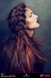 Kadeřník roku 2015: Dámský komerční účes Morava (Lenka Gorčíková – Hair Studio Piel)