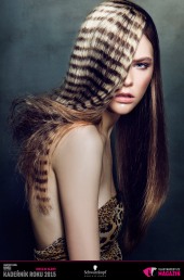 Kadeřník roku 2015: Dámský komerční účes Morava (Lenka Gorčíková – Hair Studio Piel)