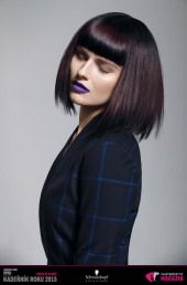 Kadeřník roku 2015: Cena tisku SR (Marieta Murga – Lekart Hairdressing)