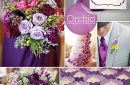 Barevná svatba podzim/zima 2014/2015 v odstínu barvy roku Radiant Orchid.