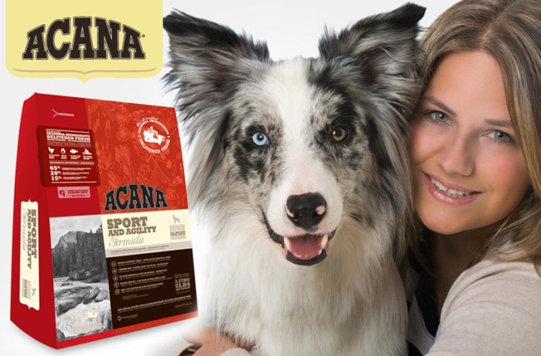 Psí granule Acana patří mezi nejkvalitnější krmivo pro psy. Vyrábí se v Kanadě z výhradně čerstvých surovin se 100% zaručeným původem.