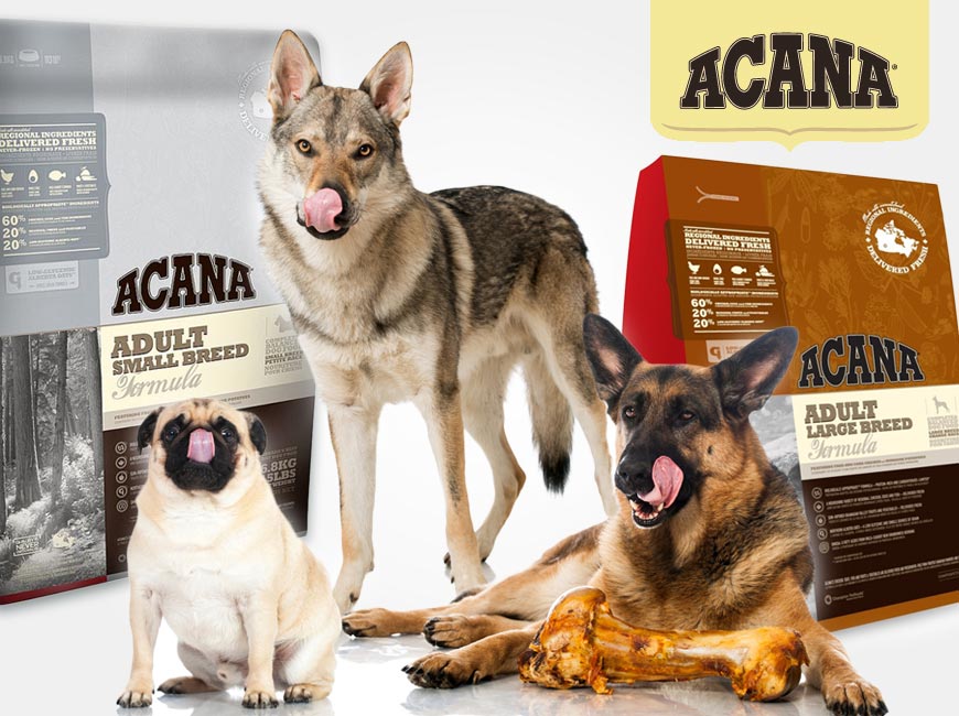 Acana Granule chutnají a svědčí pejskům všech plemen a velikostí.