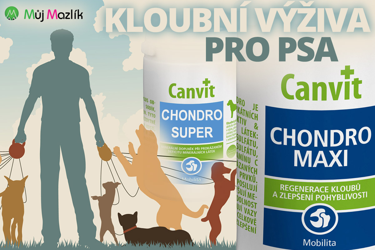 Speciální kloubní výživa pro psa jako doplněk kvalitní stravy je základní péči o pohybový aparát psa.