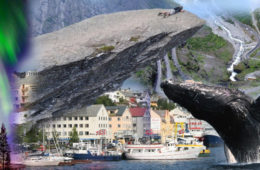 Vydejte se za exotikou na sever. Zájezdy Norsko – to je zážitek z polární záře, jízda na Husky psím spřežení, pravá sauna i velryby.