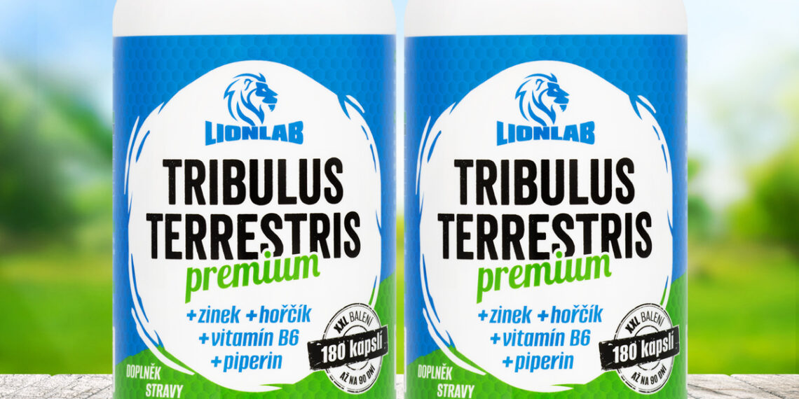 Kotvičník zemní neboli Tribulus terrestris je přírodní podporou mužské síly a vitality